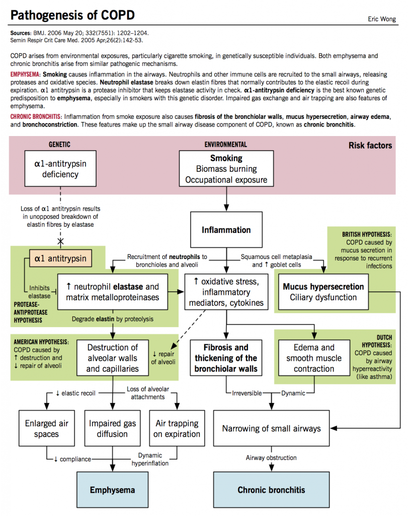 2018 Guidelines For Copd Management Flowchart Examples In Programming