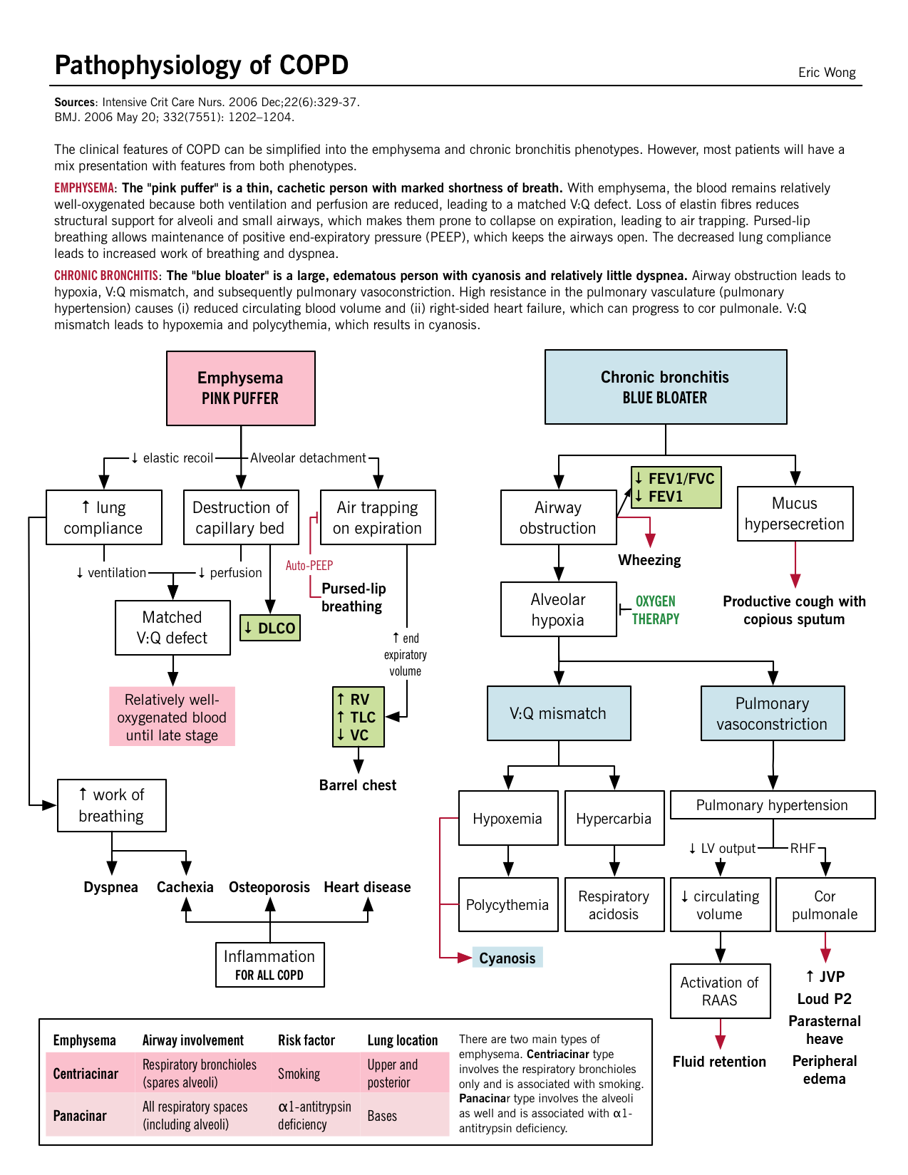 Pathogenesis Of Copd Flow Chart