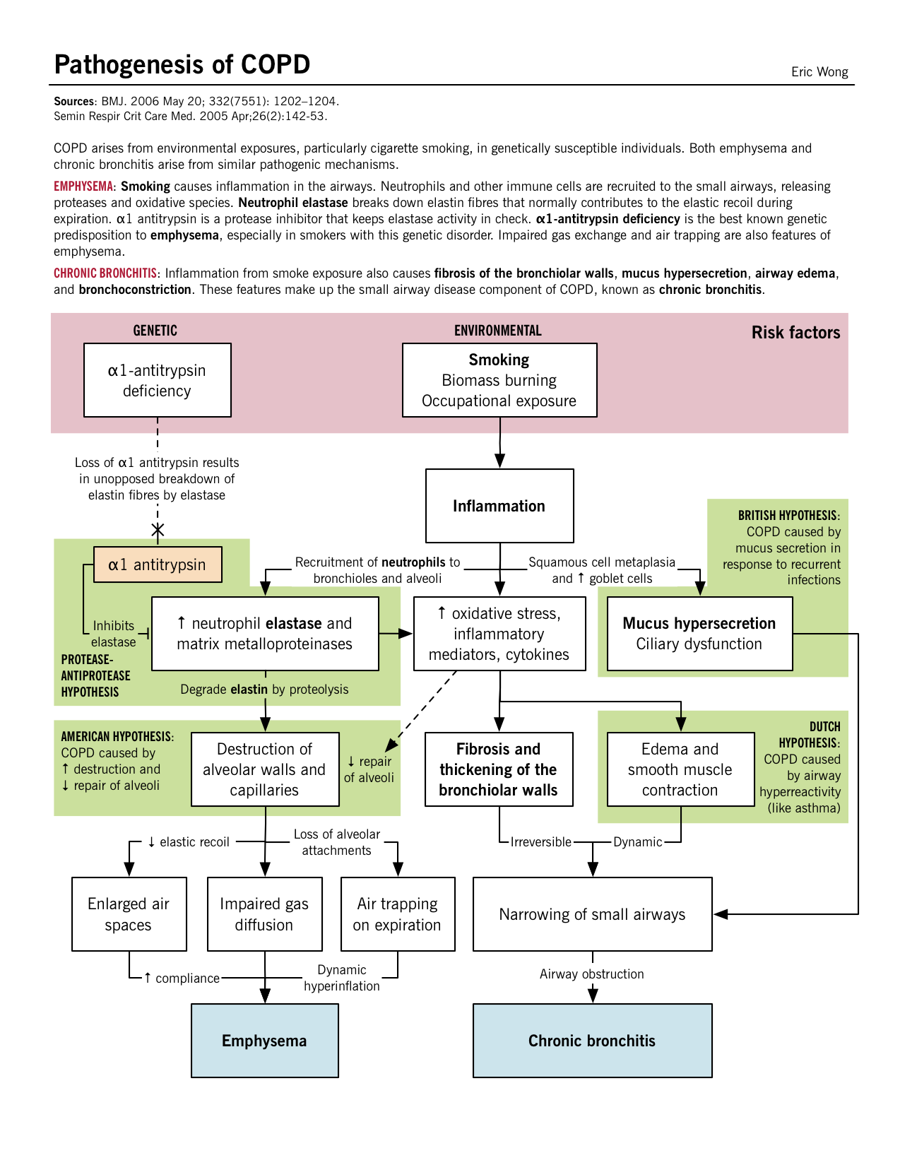 Pathogenesis Of Copd Flow Chart