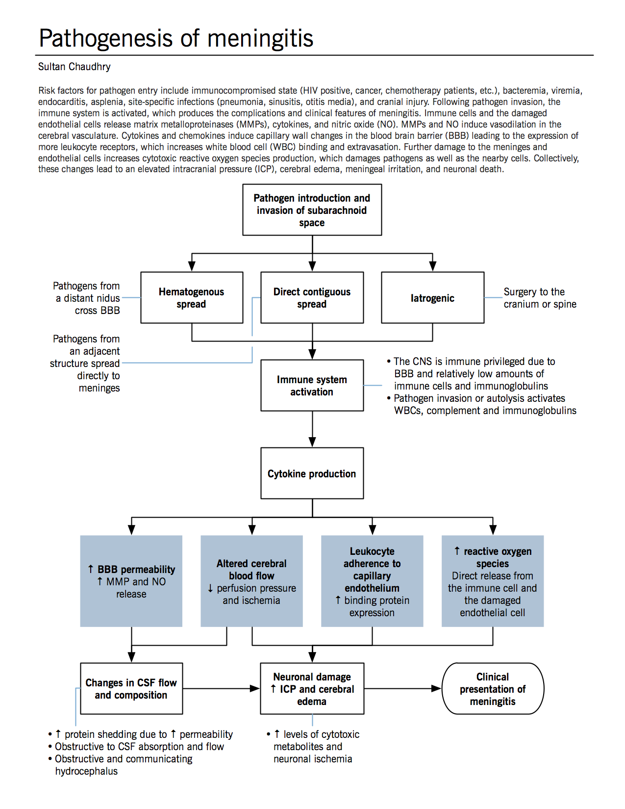 Pathophysiology Of Seizure Flow Chart