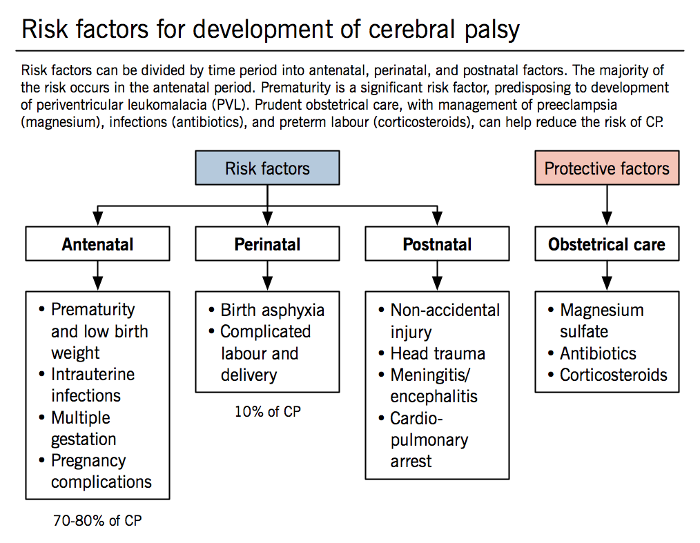 cerebral palsy | mcmaster pathophysiology review