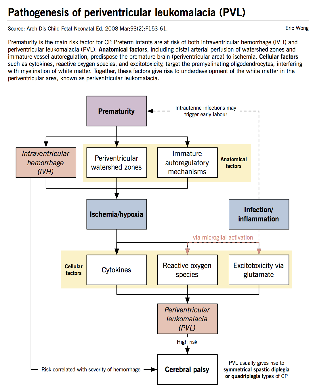 Types Of Cerebral Palsy Chart