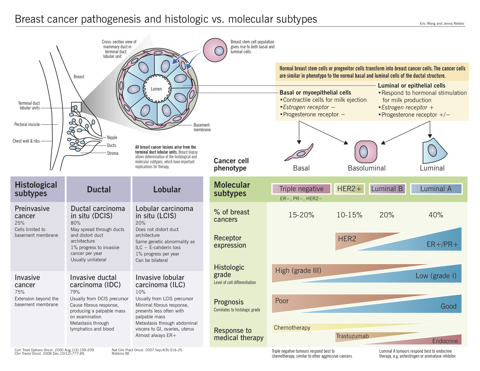 Pathophysiology Of Cancer In Flow Chart