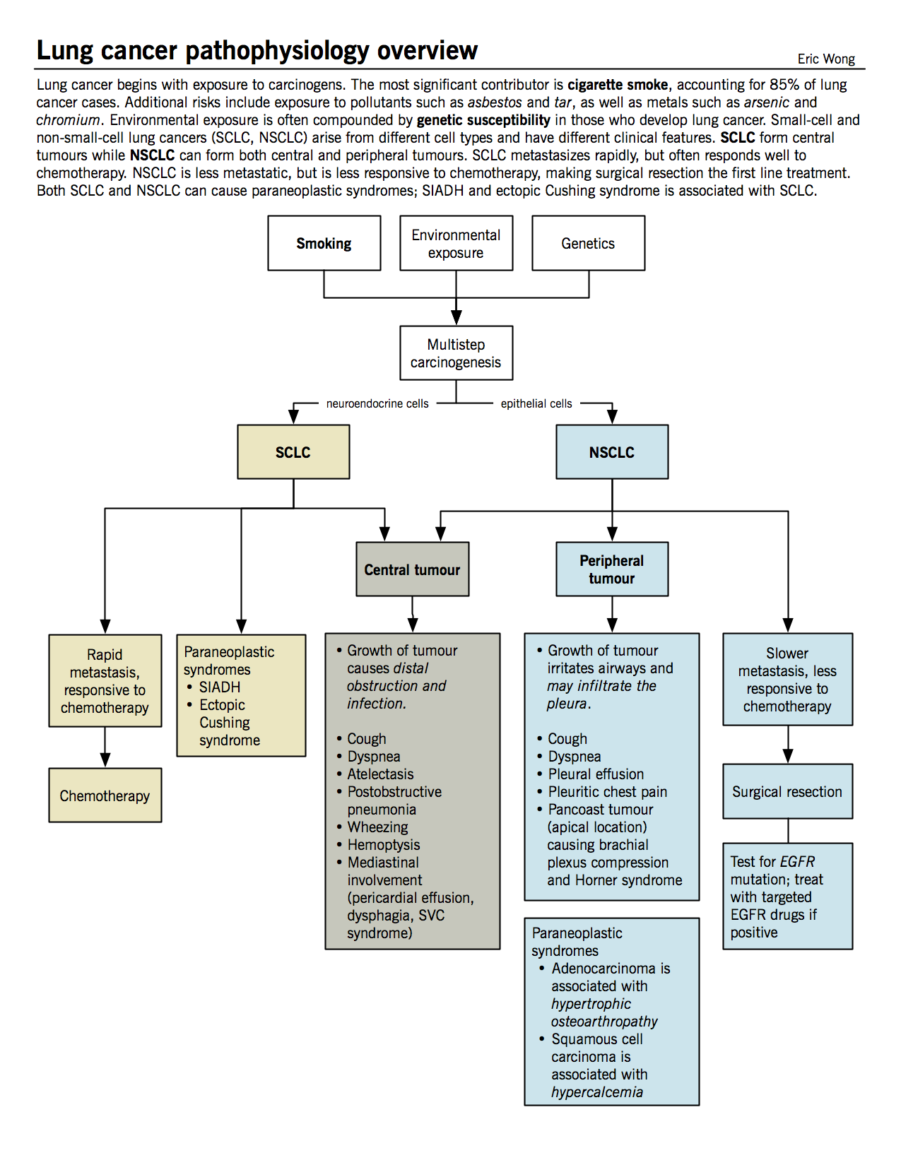 Lung Cancer Pathophysiology