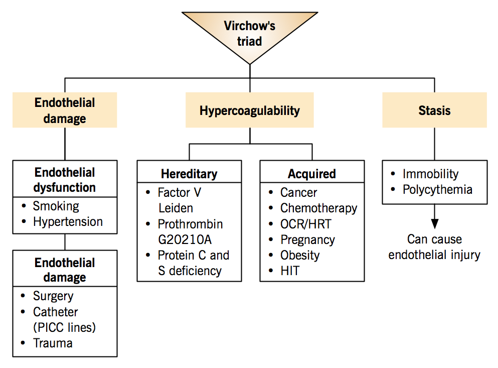 Etiology of venous thromboembolism - Virchow's triad