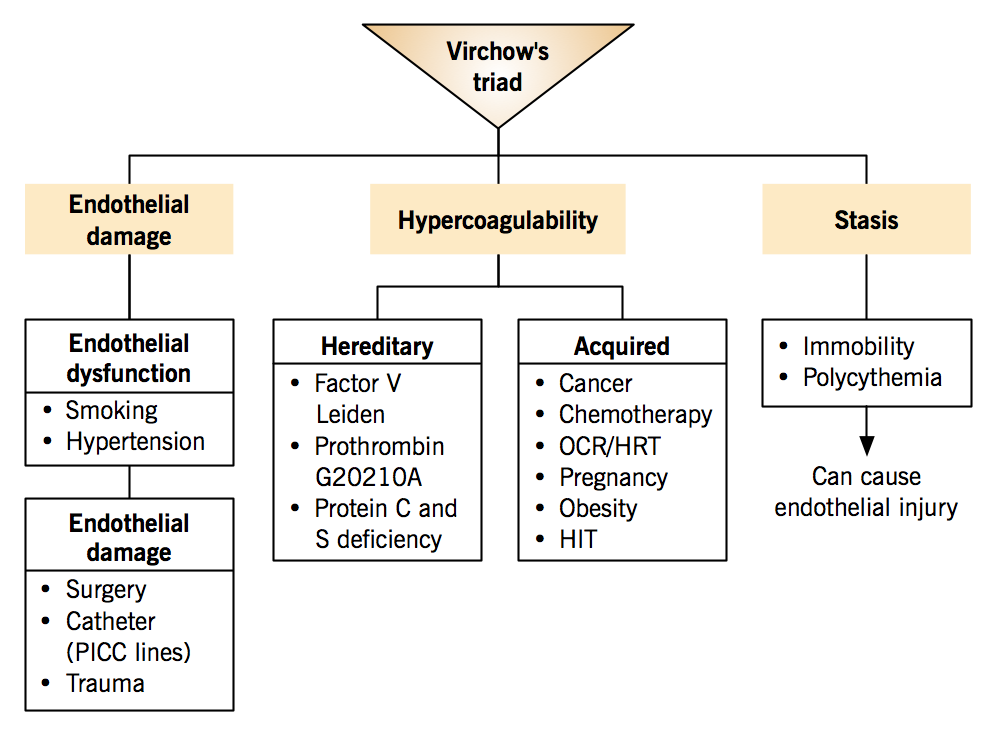 What Is Virchows Triad