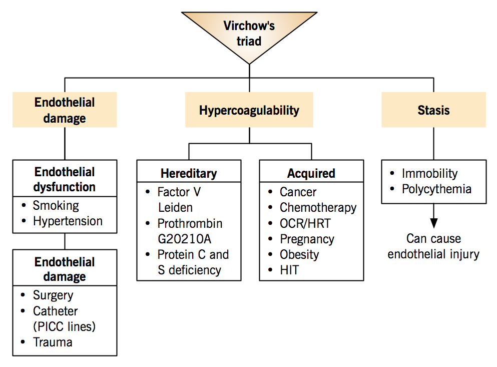 Etiology Of Venous Thromboembolism Virchow s Triad McMaster 