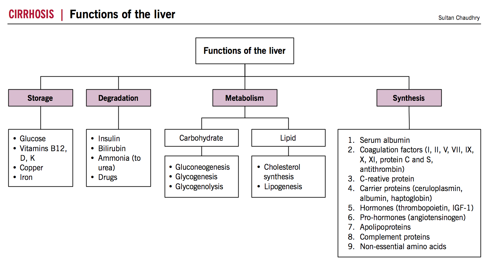 Normal liver functions