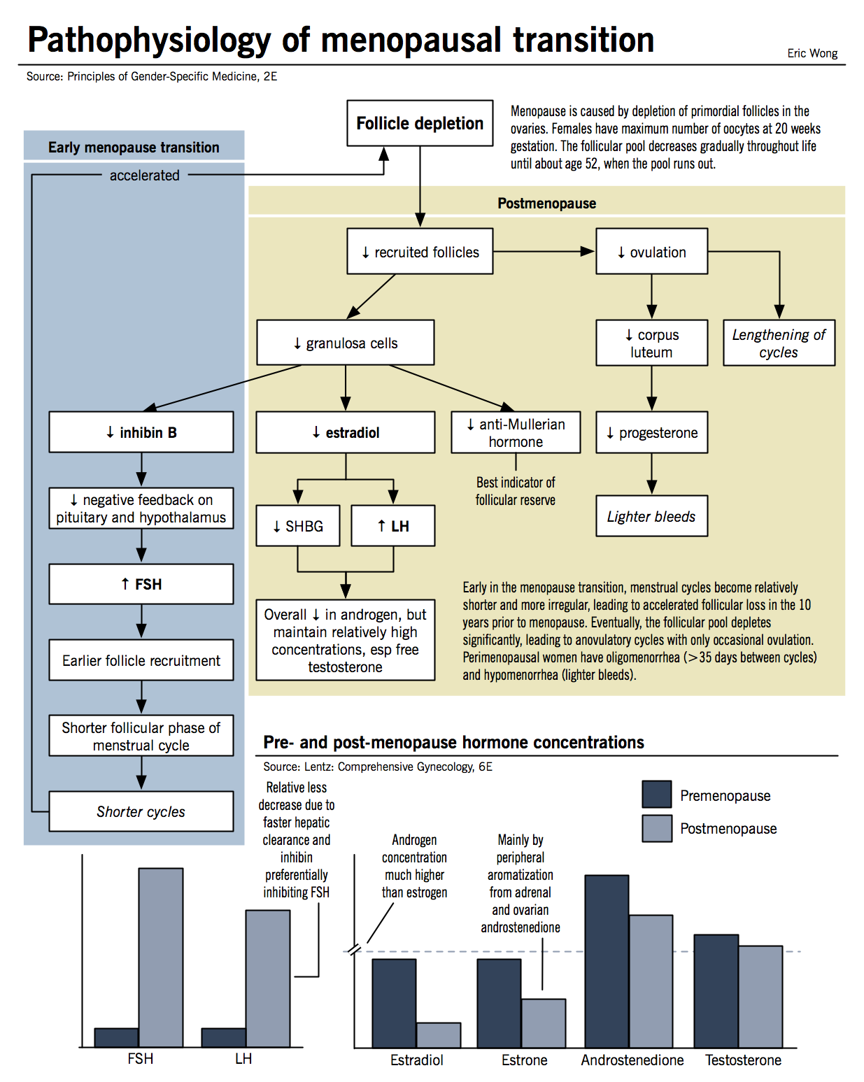 Fsh Levels Chart By Age