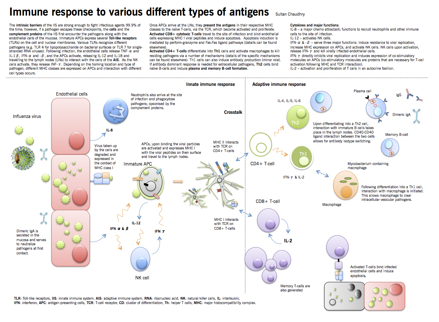 Immune response to various different types of antigens