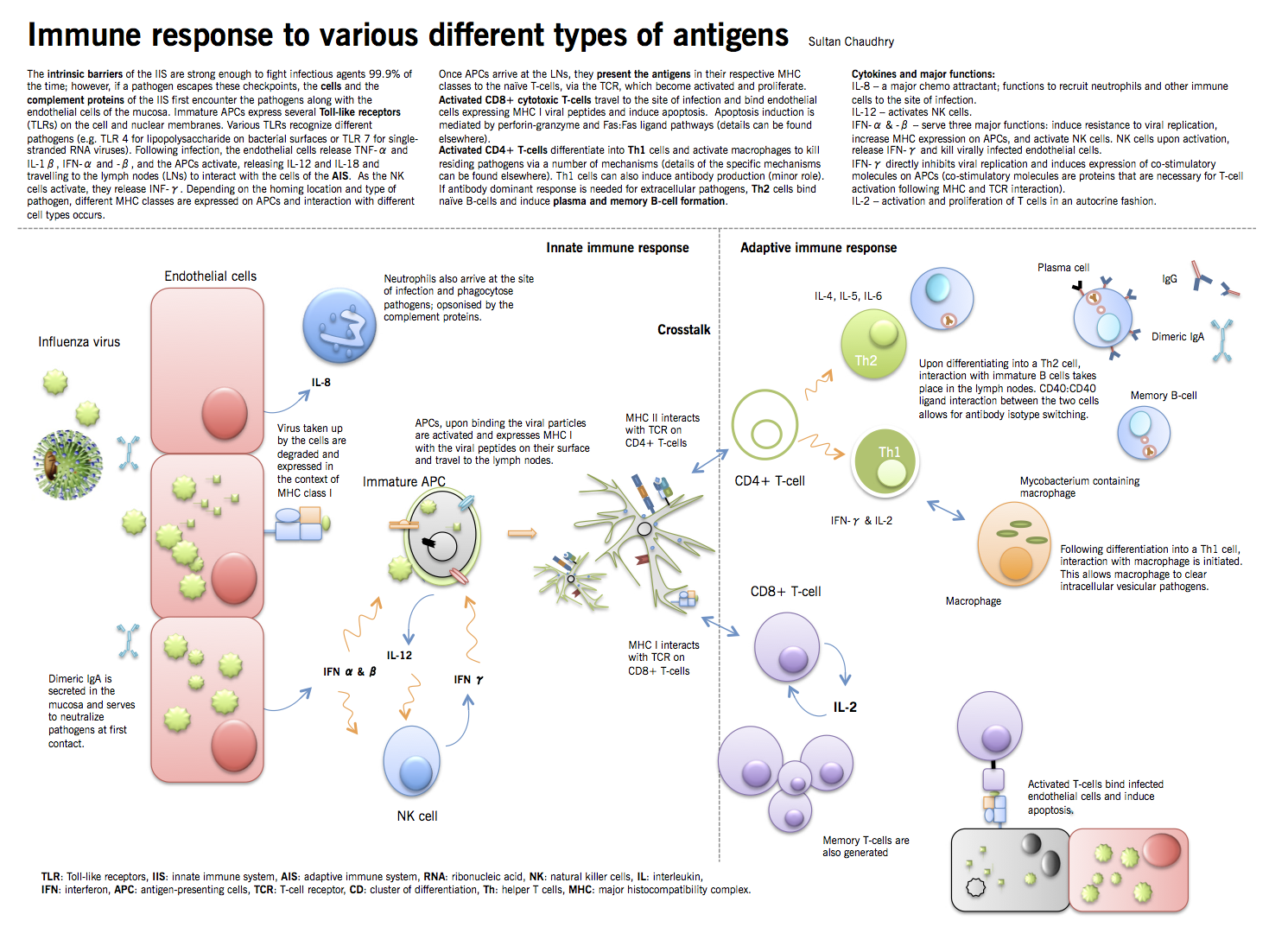 Immunology Chart