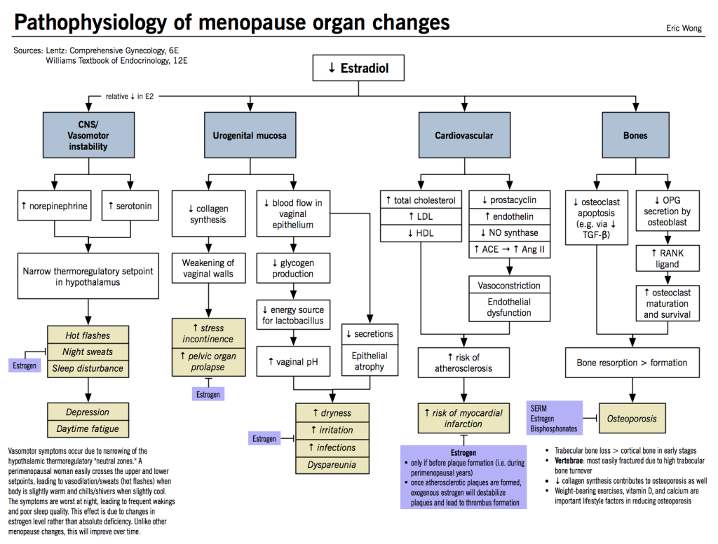 Pathophysiology Of Menopause Organ Changes McMaster Pathophysiology Pathophysiology Of Menopause Organ Changes McMaster Pathophysiology