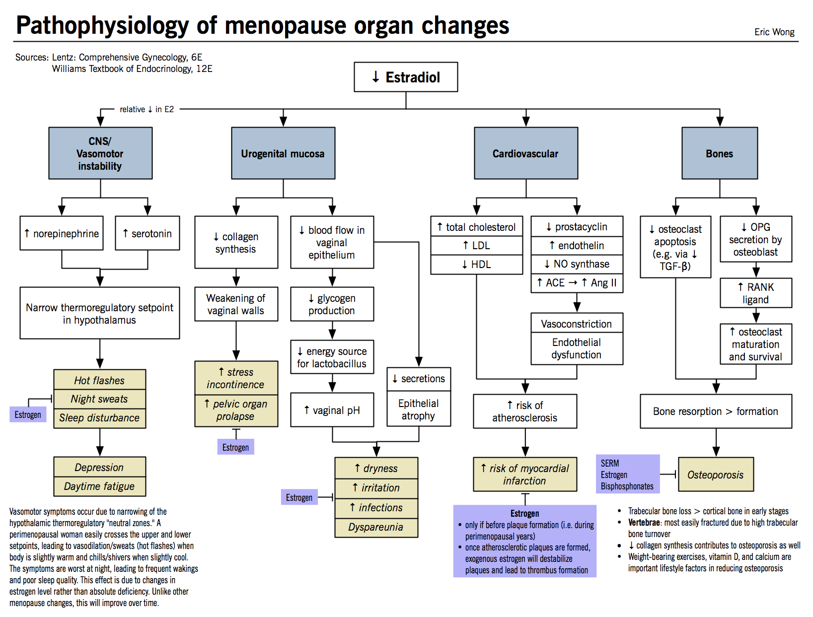 Osteoporosis Pathophysiology Flow Chart