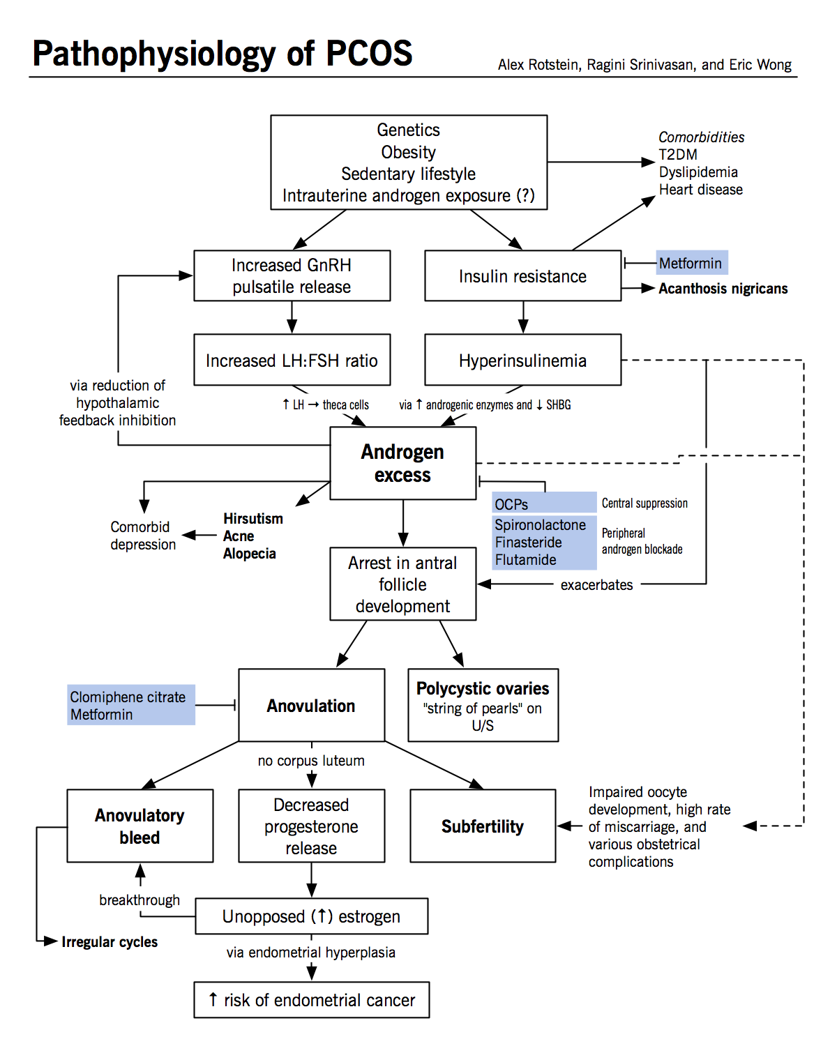 Pathophysiology of PCOS