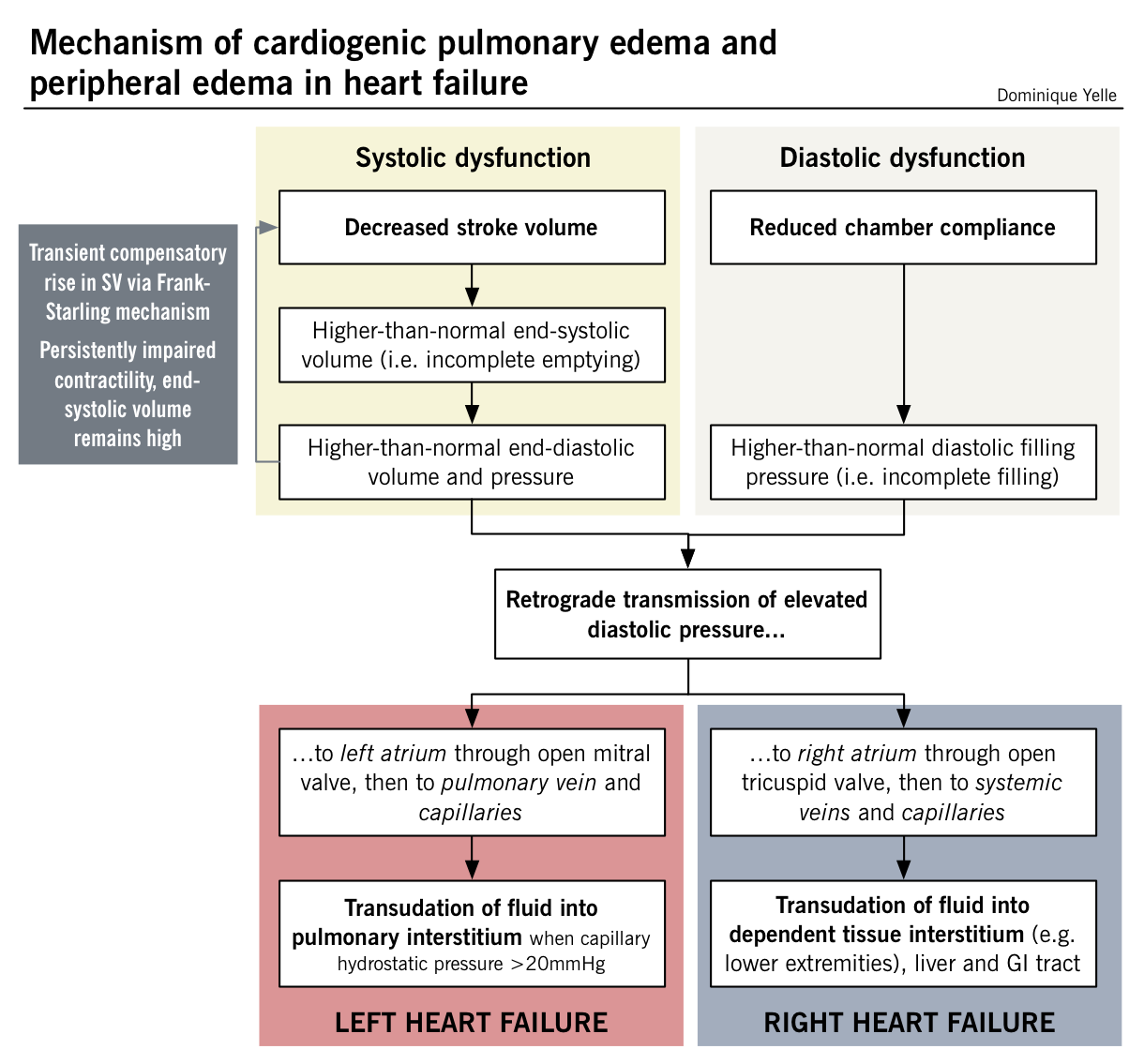 What causes fluid in the lungs?