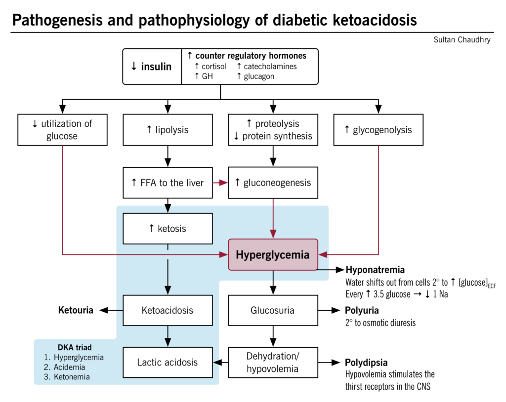 diabetic ketoacidosis pathophysiology)