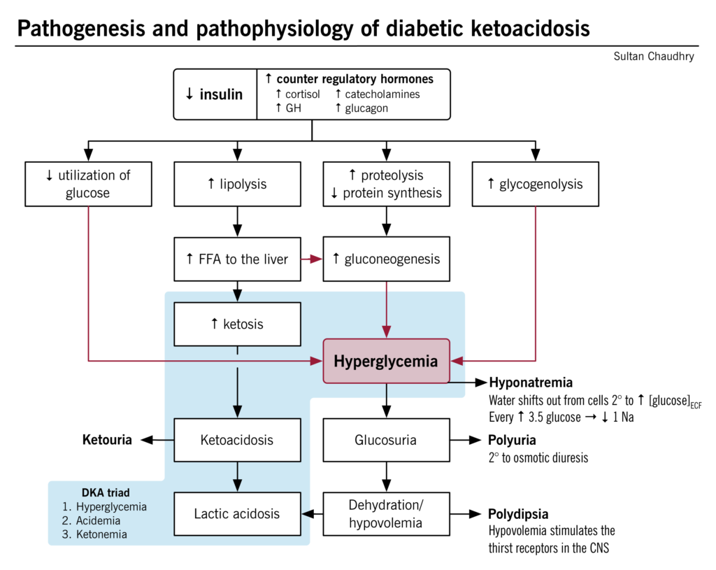 Dka Vs Hhns Chart