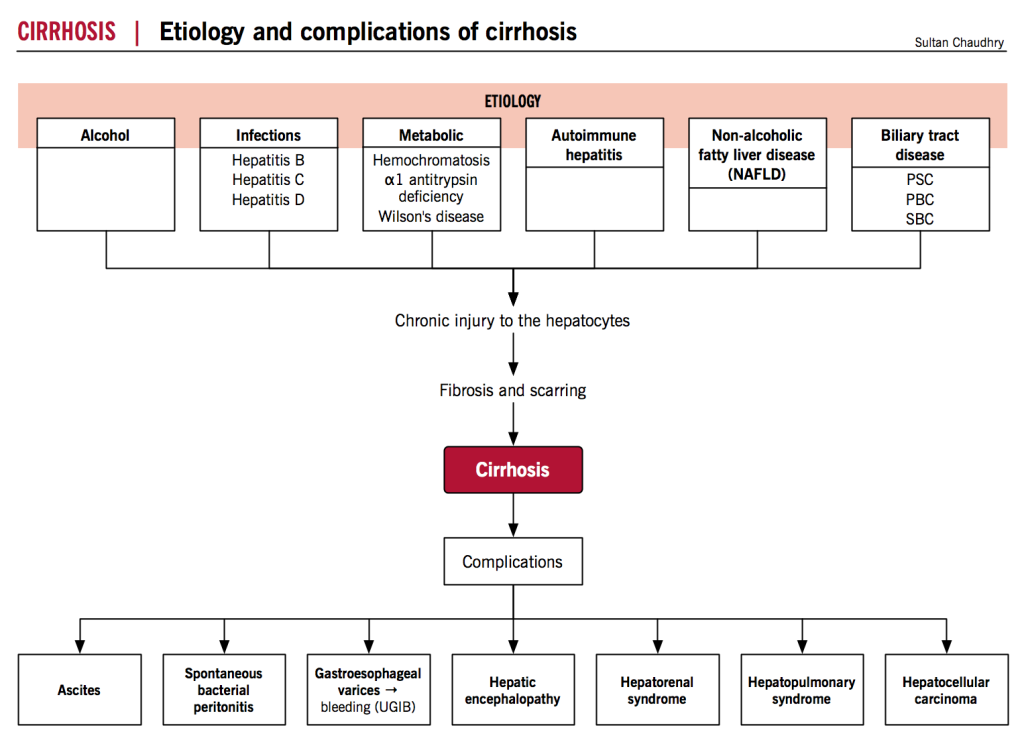 Cirrhosis – McMaster Pathophysiology Review
